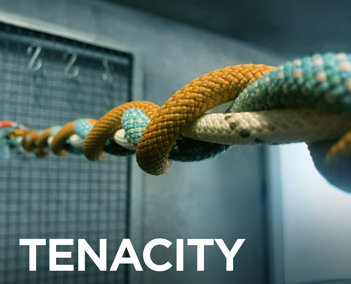 /img/About Us/05 Our Merits/01 Tenacity.jpg